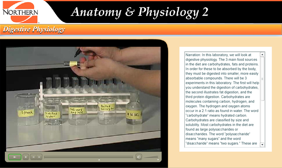 set up of test tubes for the carbohydrate experiment